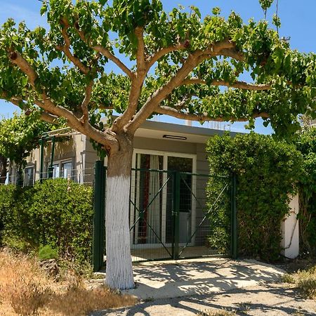Villa Petrakis Afrathias Garden House Kalamaki  Exterior foto