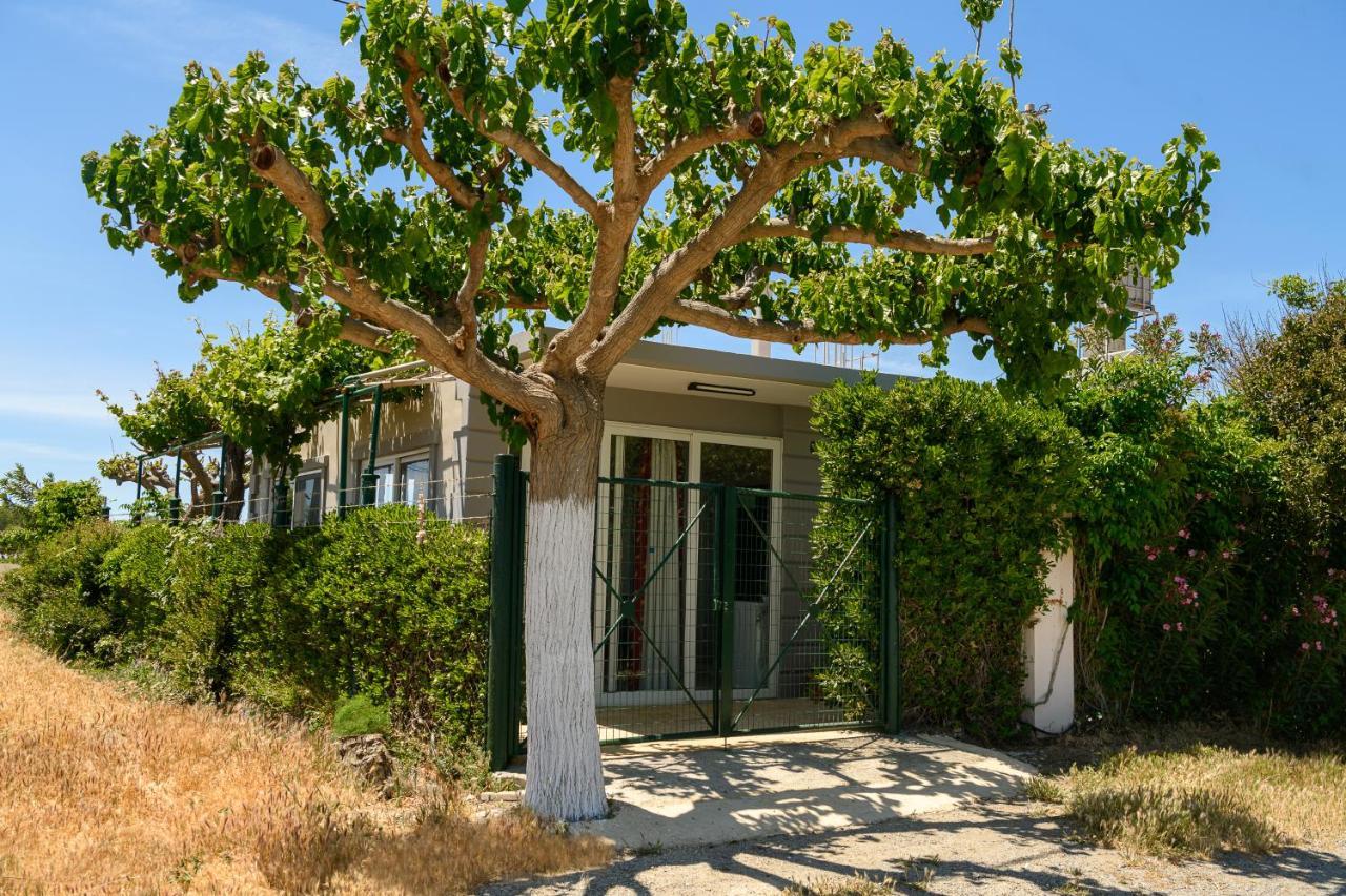 Villa Petrakis Afrathias Garden House Kalamaki  Exterior foto